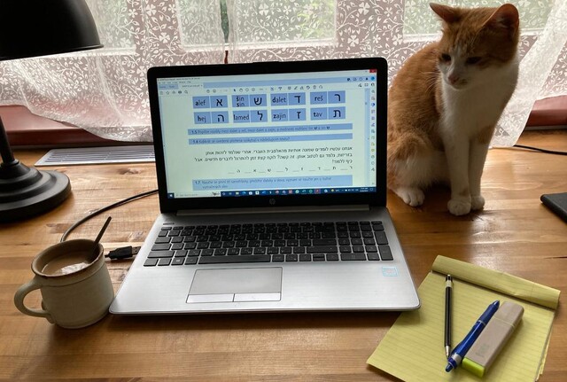 Bet BO1 Choref Bet BO1 Choref