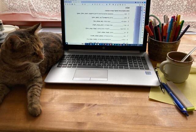 Alef CO2 Kajc Alef CO2 Kajc